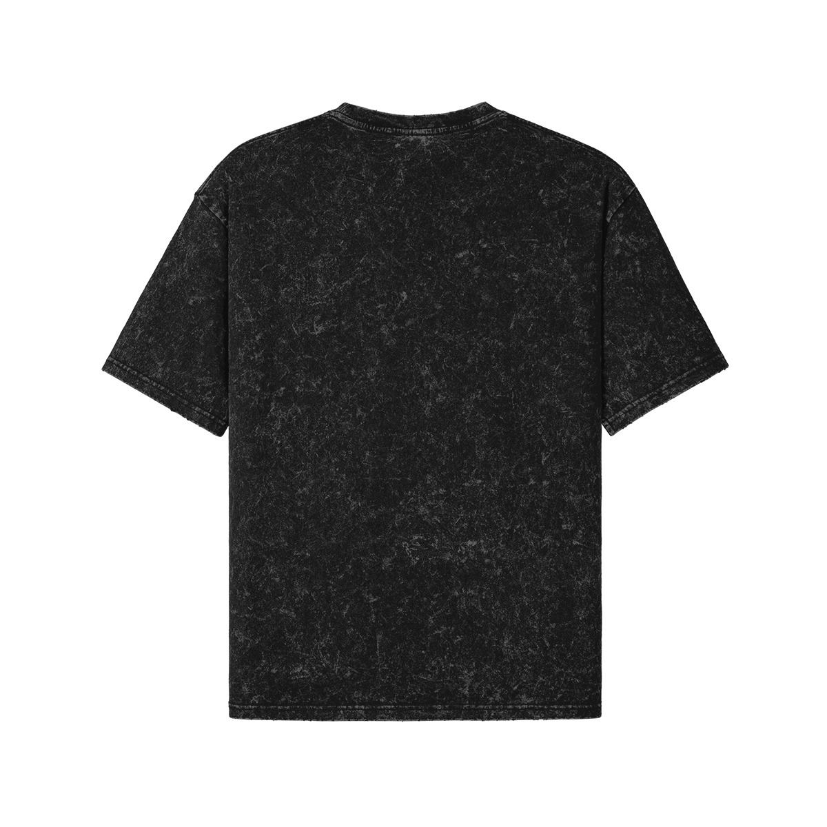 Spirti Of Rebels - Washed t-shirt